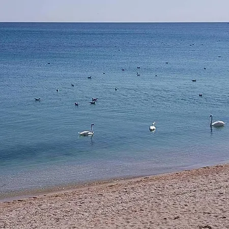 Hacienda Del Mar'a Vama Veche