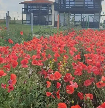 Villa Hacienda Del Mar'a Vama Veche