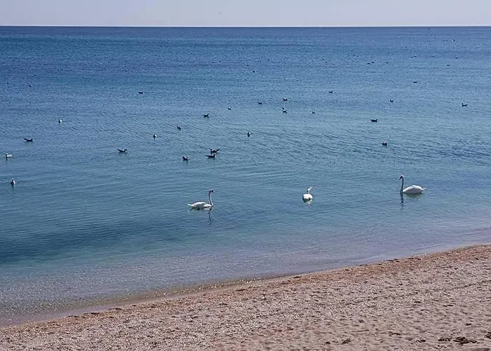 Hacienda Del Mar'a Vama Veche