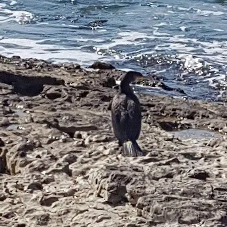 Hacienda Del Mar'a 빌라