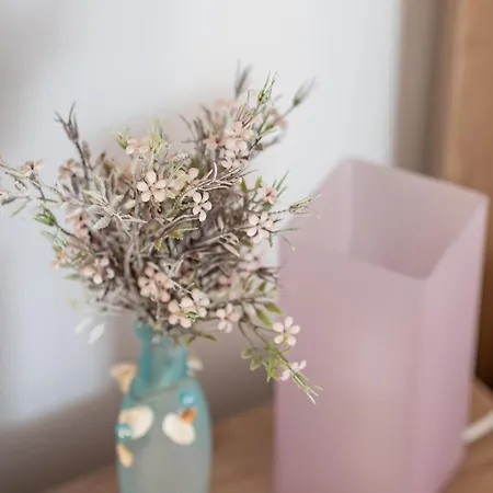 Hacienda Del Mar'a 빌라