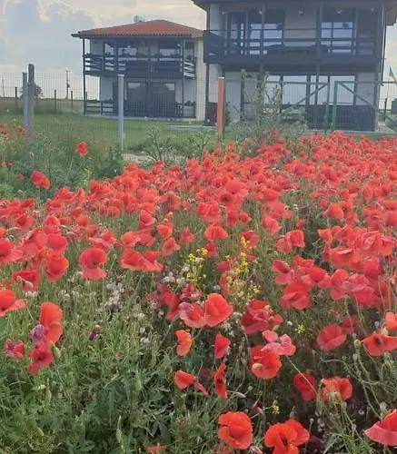 Вилла Hacienda Del Mar'a Вама-Веке