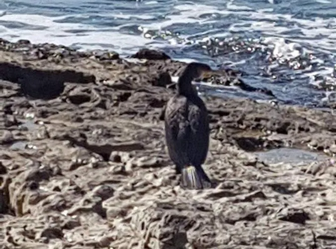 Hacienda Del Mar'a Вилла